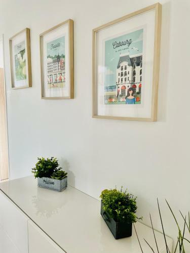 Apartamento Le Bel Herminier