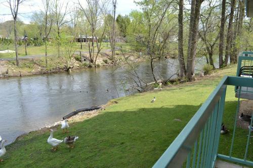 River Place Condos