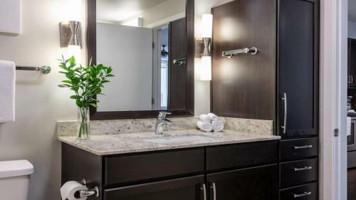 Cozysuites Stunning 2br 2ba Apartment Downtown