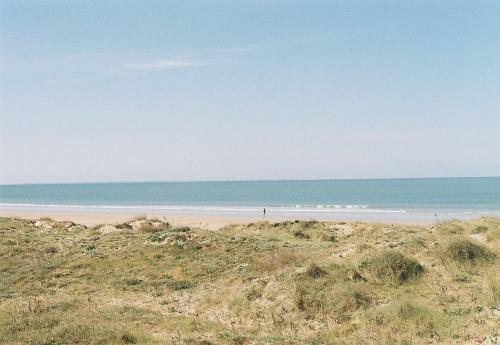 For�t Des Pays De Monts
