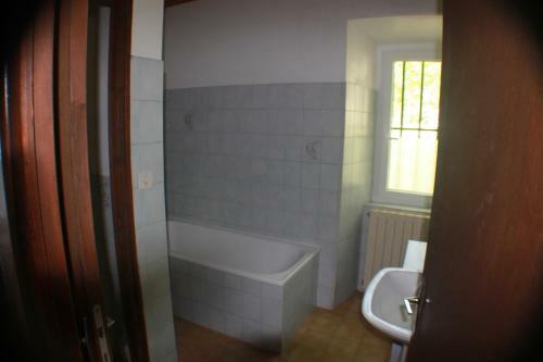 Les �cureuils