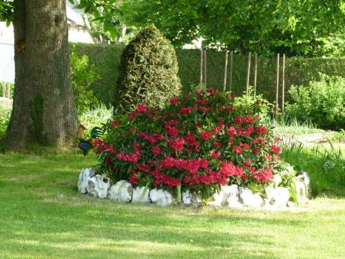 Bed & Breakfast Les Glycines