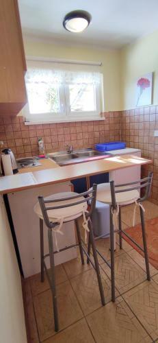 Hostal Room In Apartment - Discover The Magic Of Nature