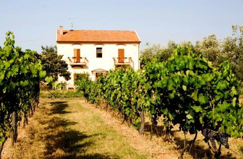 Agroturismo La Pulledraia Del Podere Montegrappa