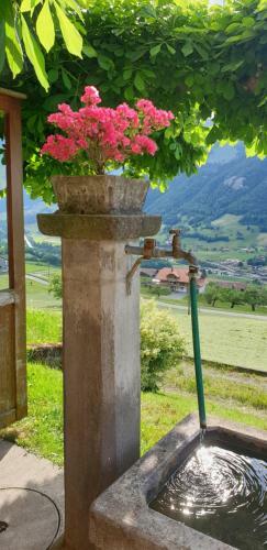 Posada Gasthof Engelberg