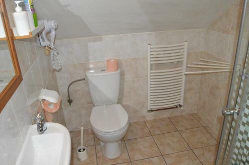 Hostal Restaurace A Penzion U Lva