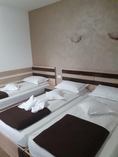 Hostal Pensiunea Scorilo
