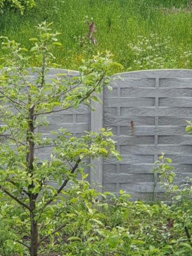 Hostal Pensiunea Scorilo