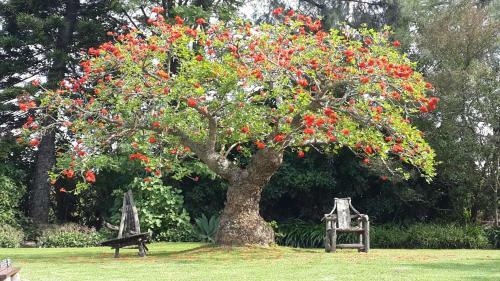 Hostal Marula Lodge