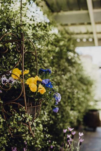 Belle Cottage On March - Cbd - High End Heritage