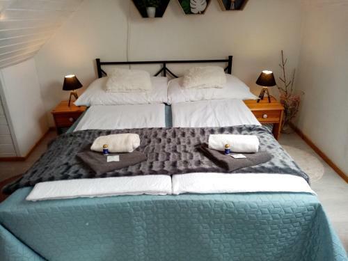Hostal K?szeghegyalja Vend�gh�z