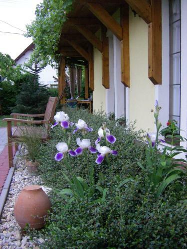 Hostal K?szeghegyalja Vend�gh�z