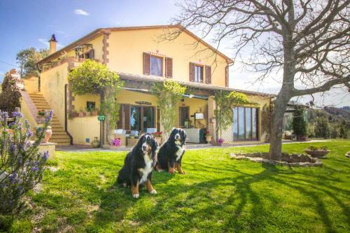 Agroturismo Il Troscione