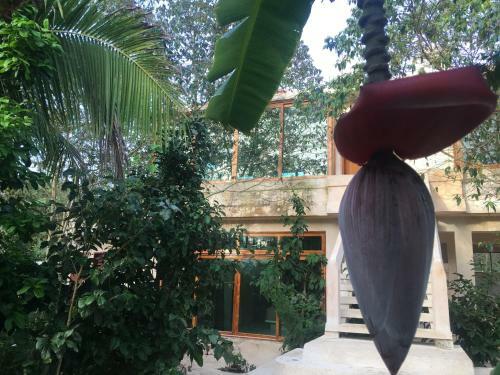 Hotel Casa Maya Calakmul