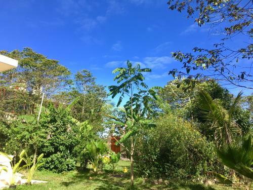 Hotel Casa Maya Calakmul