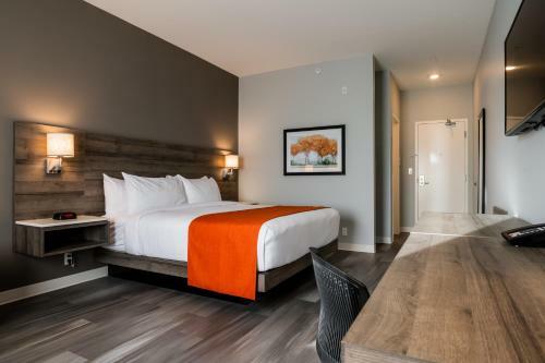 Hotel Amsterdam Inn & Suites Florenceville