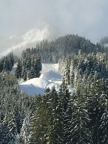 Hostal Pension Talblick In W�ngle Bei Reutte