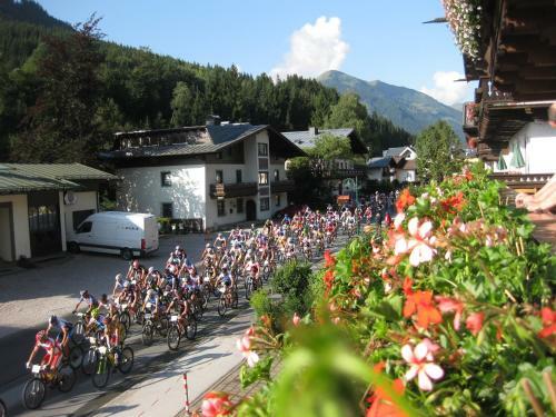 Bed & Breakfast Pension Schipflinger