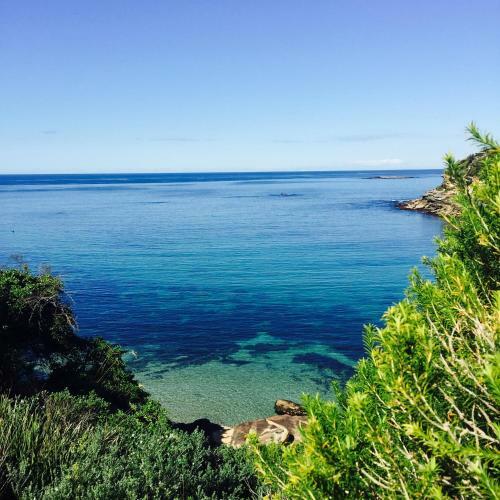 Albergue Coogee Beach House