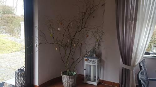 Hostal Pohoda Na Radosti