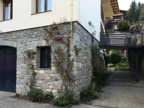 Apartaments Camprodon Centre