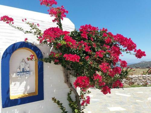 Stunning Traditional Windmill Paros Island Greece