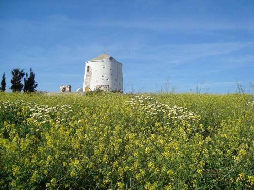 Stunning Traditional Windmill Paros Island Greece