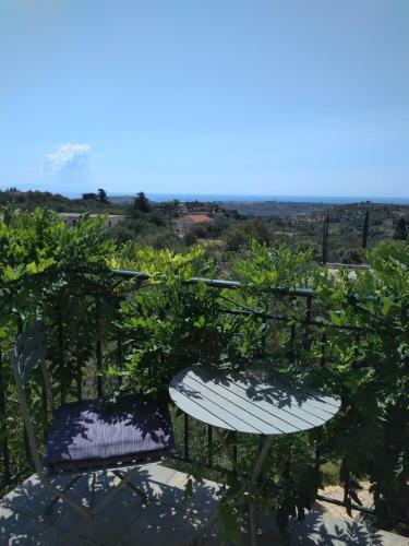 Hostal Volidiera Guesthouse