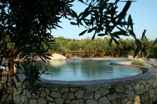 Hostal Volidiera Guesthouse