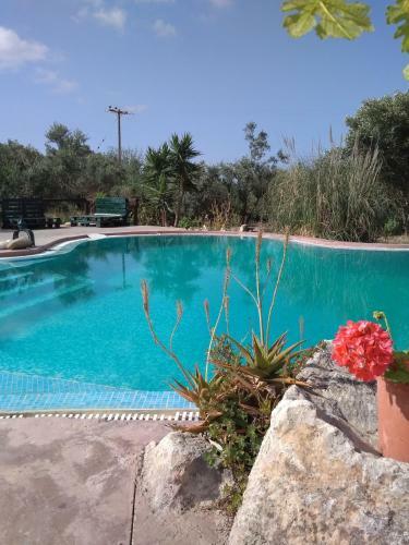 Hostal Volidiera Guesthouse