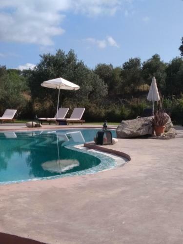 Hostal Volidiera Guesthouse