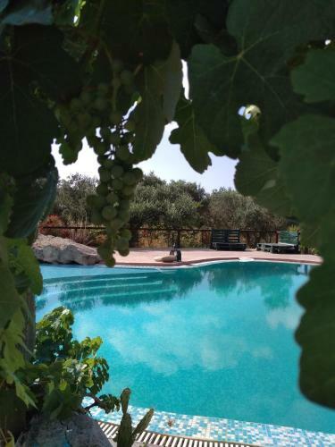 Hostal Volidiera Guesthouse