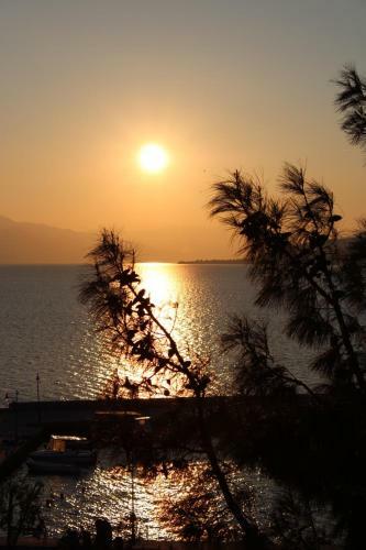 Hotel Tsirigotis Standard Sea View