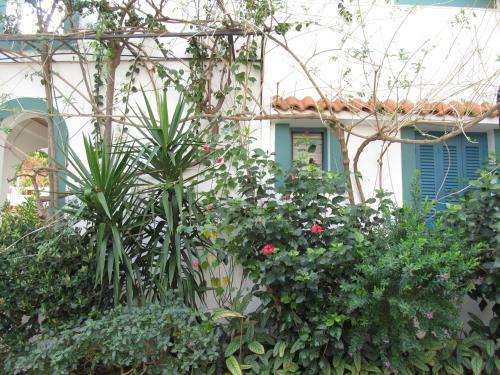 Villa Contessa Apartments "by Checkin"