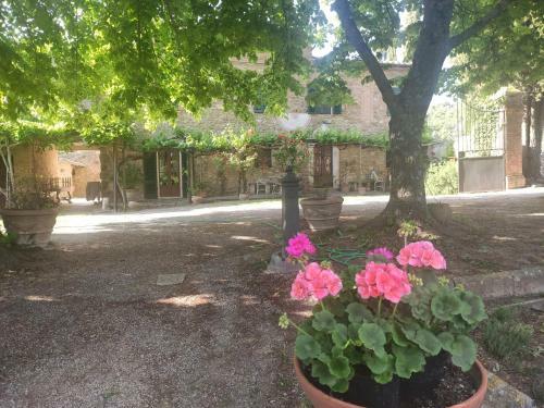 Agroturismo Borgo Villa A Tolli