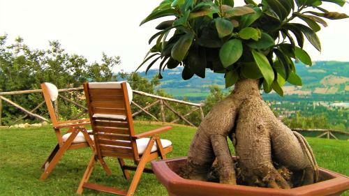 2 Bedrooms Villa With City View Private Pool And Jacuzzi At Castelplanio