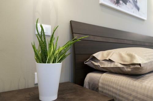 Hostal Green Land B&B Boutique