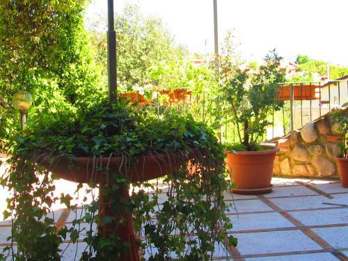 Hostal Borgo Piccolo