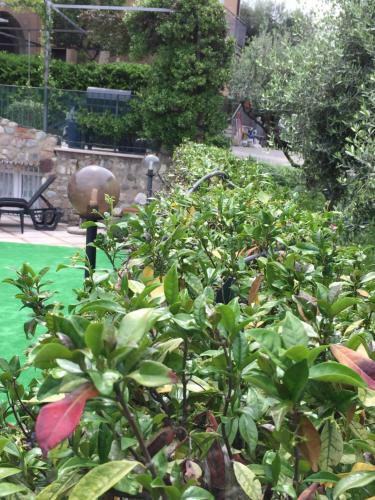 Hostal Borgo Piccolo