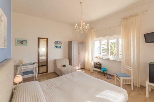B&B Livia