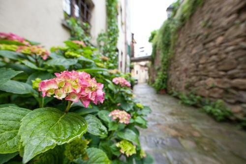 Bed & Breakfast Suite San Michele