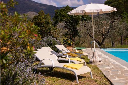 Villa Collina Dei Fiori