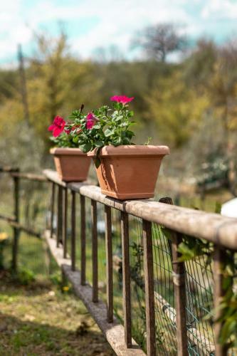 Villa Collina Dei Fiori