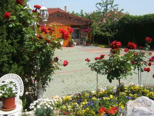 Hostal Angela Hotel