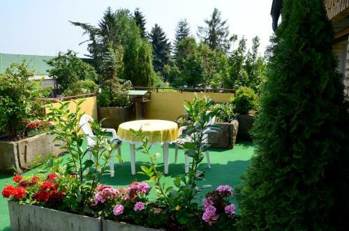 Hostal Haus Scheuten Hotel
