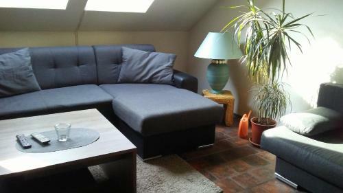 Apartment Smeralova