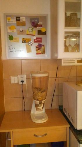 Apartment Smeralova