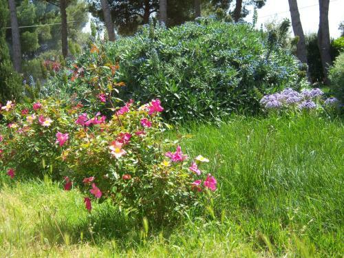Apartamento Leziedipiero