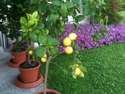 Bed & Breakfast Torre Degli Ulivi