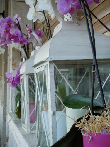 Bed & Breakfast Torre Degli Ulivi